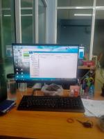 SalesDD